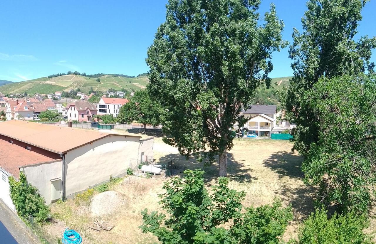 Appartement Avec Balcon : Le Serenity Turckheim Εξωτερικό φωτογραφία