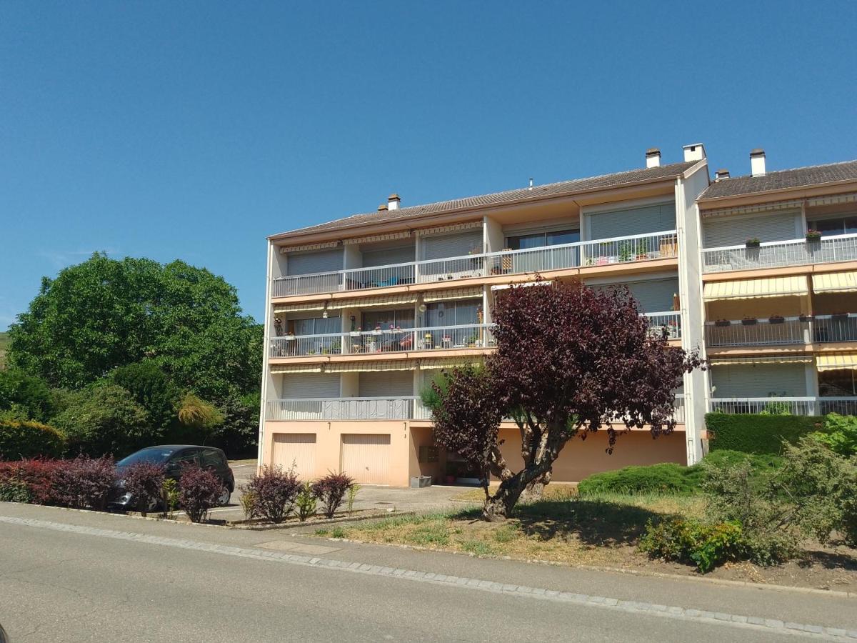 Appartement Avec Balcon : Le Serenity Turckheim Εξωτερικό φωτογραφία
